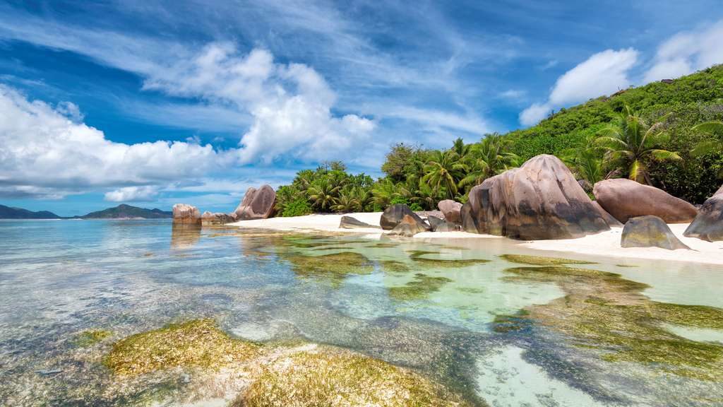 plage-anse-source-argent-seychelles