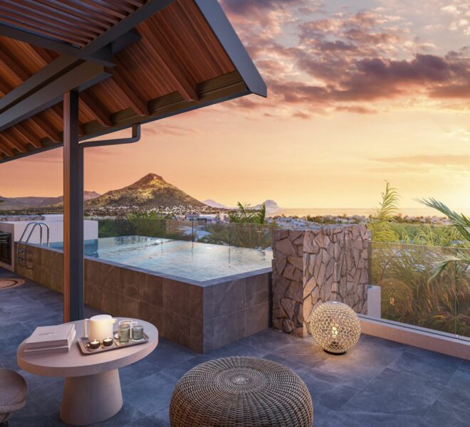 Vue_terrasse_Penthouse