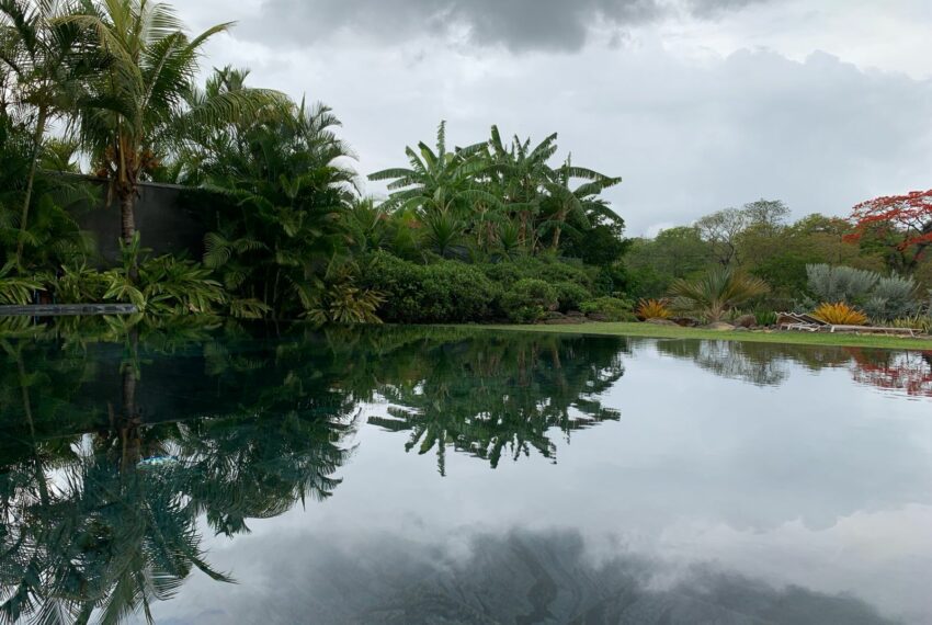 Piscine a debordement et terrain paysage