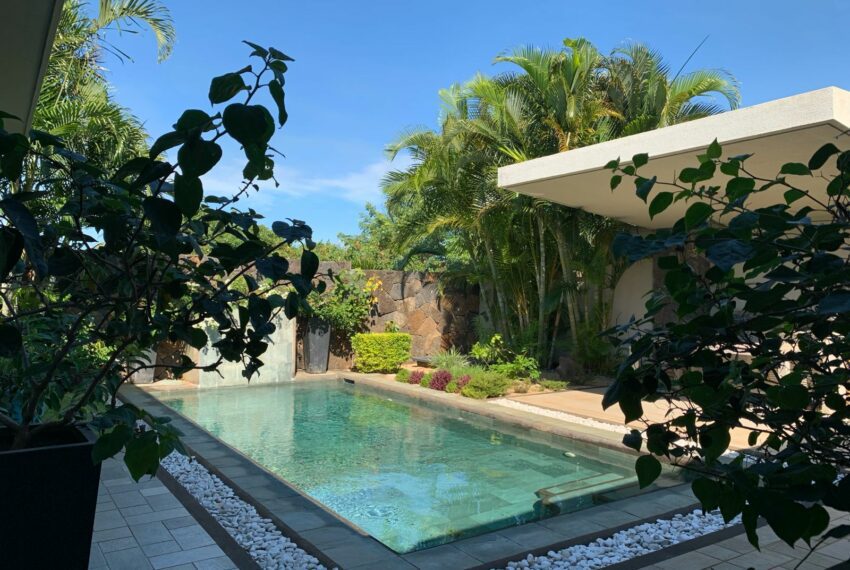 Piscine vue de la terrasse