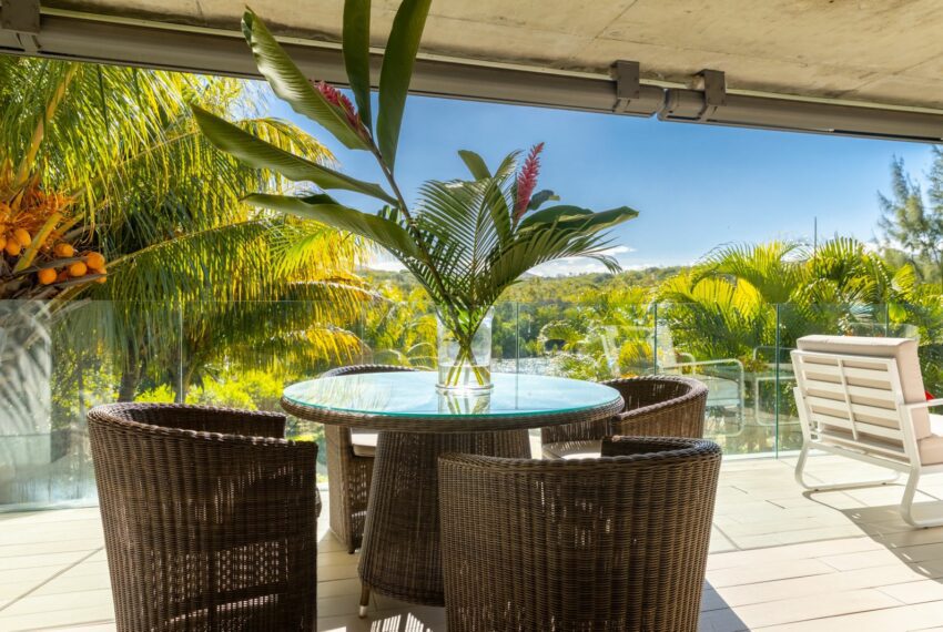 Vue terrasse depuis le Salon